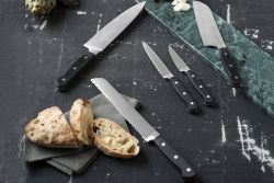 Lion Sabatier Pluton knivsæt 5 dele sort/stål