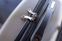 Tobias Jacobsen carryon champagne